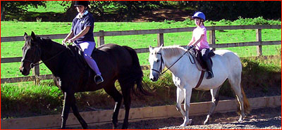 Horse Riding Lessons