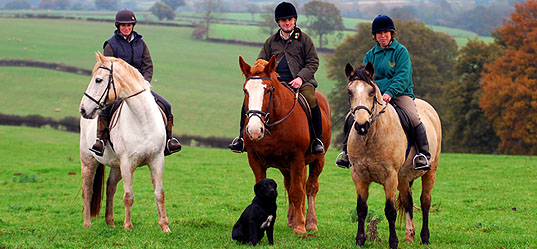 Grafton Farm