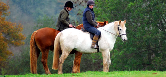 Grafton Farm